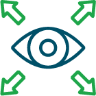 vision