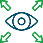 vision